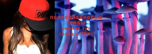 СК Богданович