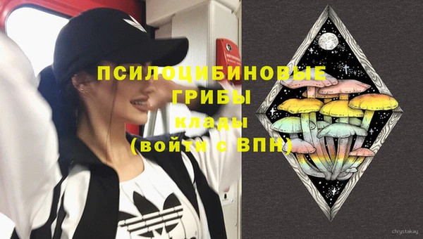 бошки Богородицк