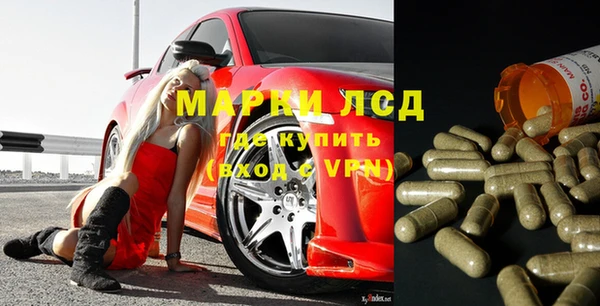 мдпв Тайга