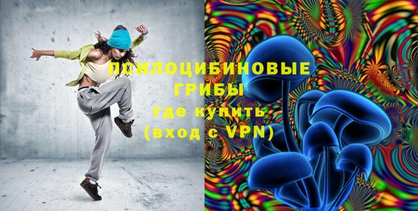 бошки Богородицк