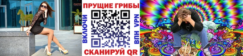 Псилоцибиновые грибы прущие грибы Добрянка